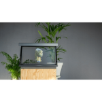 Hologramme salon décoration Holusion Iris 22