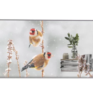 Affichage OLED transparent 55" LG 55EW5P-M