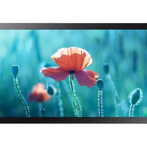 Écran tactile Samsung QBR-TM 13''